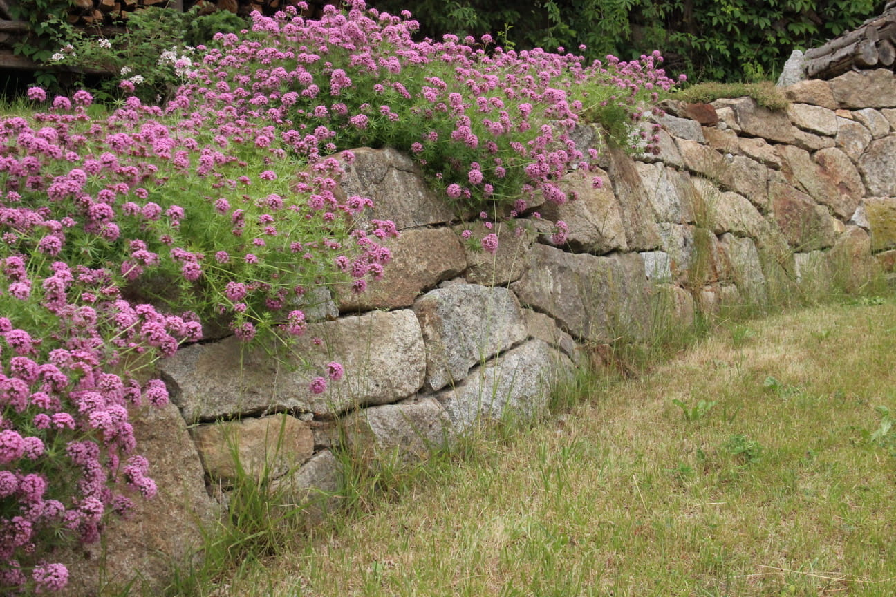 Granittrockenmauer 2